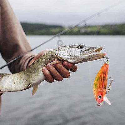 [Free Shipping Today]24 Days Christmas Countdown Fish Tackle Set